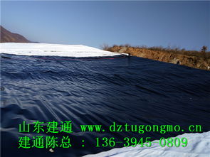 專業(yè)高效，品質(zhì)信賴 探訪江西復(fù)合土工布工廠直銷與山東建通建材加工服務(wù)