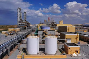 新杭能源與億利潔能首次注入乙二醇上市業(yè)務(wù)，拓展經(jīng)營性演出及經(jīng)紀(jì)業(yè)務(wù)新領(lǐng)域