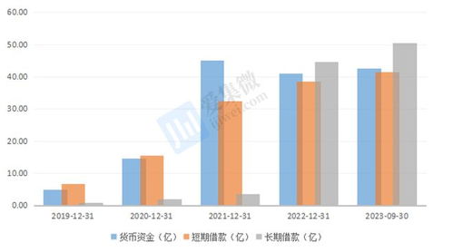 格科微布局中高像素CIS與自建Fab廠 短期財(cái)務(wù)承壓，長期戰(zhàn)略可期